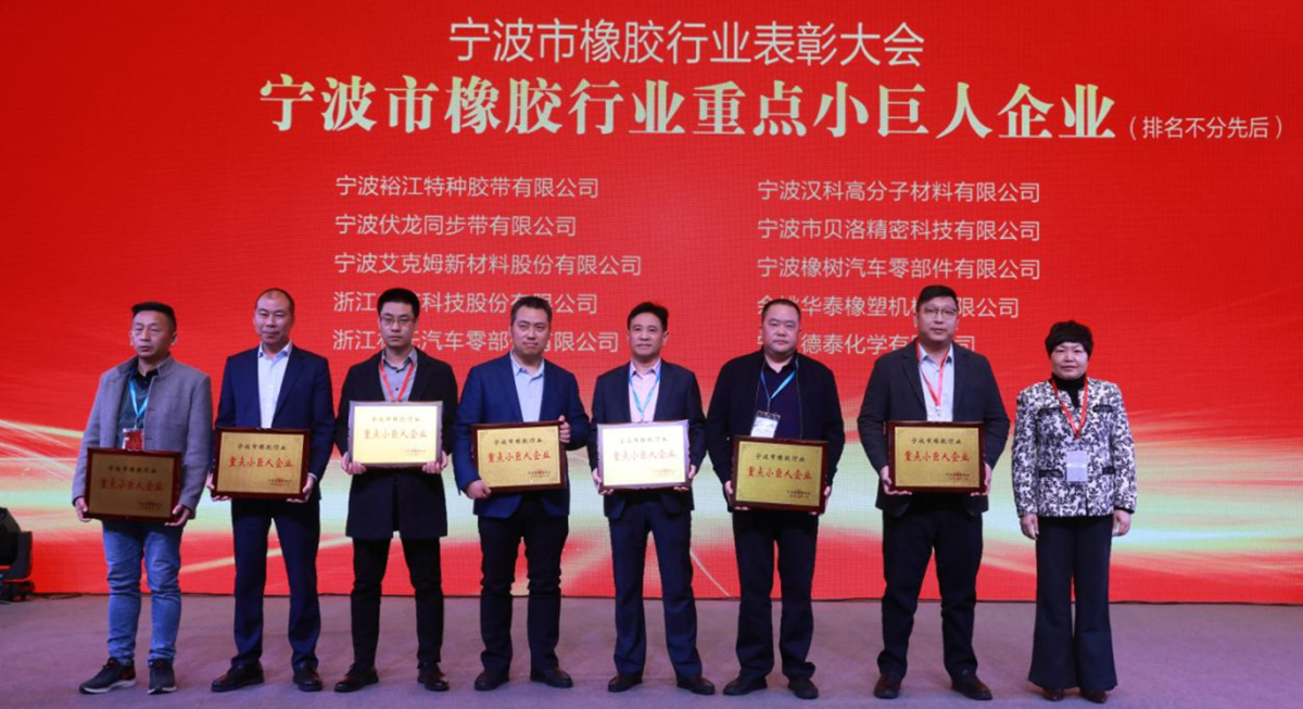 喜報 - 貝洛榮獲“寧波市橡膠行業(yè)優(yōu)秀企業(yè)家”、“寧波市橡膠行業(yè)誠信企業(yè)”、“寧波市橡膠行業(yè)重點小巨人企業(yè)”獎項！